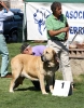 Filename=IMG-6412.jpg
Filesize=154KiB
Dimensions=945x1200
Date added=%740 %30, %2013 IMG-6412.jpg