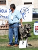 Filename=IMG-6413.jpg
Filesize=134KiB
Dimensions=929x1200
Date added=%740 %30, %2013 IMG-6413.jpg