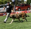Filename=IMG-6425-movement.jpg
Filesize=139KiB
Dimensions=1000x959
Date added=%740 %30, %2013 IMG-6425-movement.jpg