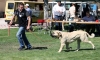 Filename=IMG-6426-movement.jpg
Filesize=123KiB
Dimensions=1200x726
Date added=%740 %30, %2013 IMG-6426-movement.jpg