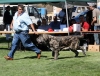 Filename=IMG-6428-movement.jpg
Filesize=131KiB
Dimensions=1100x840
Date added=%740 %30, %2013 IMG-6428-movement.jpg