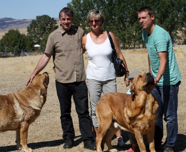 Mastínes owned by Gustavo, Ávila 2013 - with Andreas and Utta from Germany
