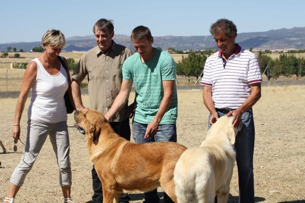 Mastínes owned by Gustavo, Ávila 2013 - with Andreas and Utta from Germany
