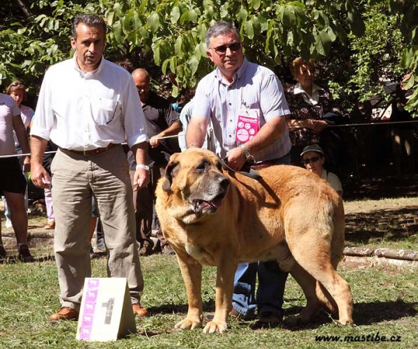 Veteran Class Males - Barrios de Luna 12.09.2010 
Keywords: 2010