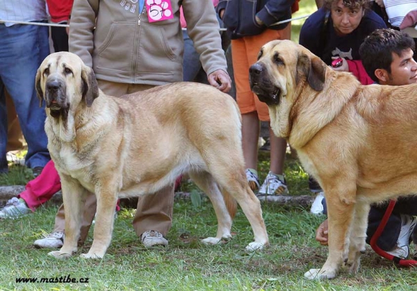 Junior Class Females, Barrios de Luna 12.09.2010
Keywords: 2010