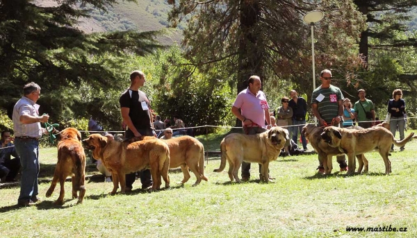 Breeding Group - Barrios de Luna 12.09.2010 
