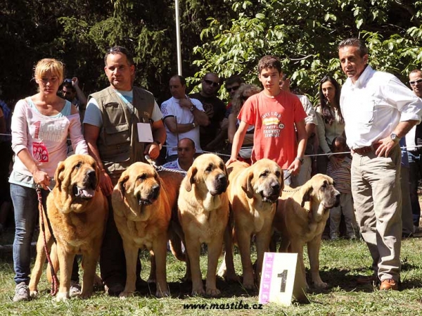 Breeding Group - Barrios de Luna 12.09.2010 
Keywords: 2010