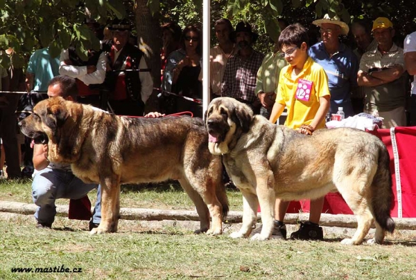 Open Class Males, Barrios de Luna 12.09.2010
Keywords: 2010