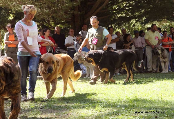 Open Class Males, Barrios de Luna 12.09.2010
Keywords: 2010