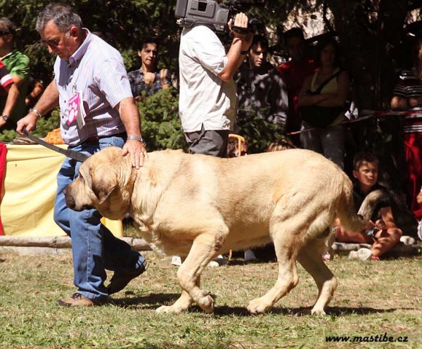 Open Class Males, Barrios de Luna 12.09.2010
Keywords: 2010