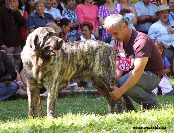 Intermediate Class Males, Barrios de Luna 12.09.2010
Keywords: 2010