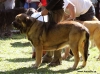 Filename=3spain10,barrios-junior_fem.jpg
Filesize=82KiB
Dimensions=796x591
Date added=%530 %02, %2010 3spain10,barrios-junior_fem.jpg