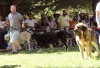 Filename=81barrios-open_males,11.jpg
Filesize=92KiB
Dimensions=857x591
Date added=%531 %02, %2010 81barrios-open_males,11.jpg