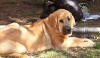 Filename=spain10,barrios-kayla,.jpg
Filesize=89KiB
Dimensions=1004x591
Date added=%531 %02, %2010 spain10,barrios-kayla,.jpg