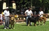 Filename=duque-truman-delamesta.jpg
Filesize=47KiB
Dimensions=600x379
Date added=%680 %24, %2013 duque-truman-delamesta.jpg