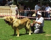 Filename=duque3.jpg
Filesize=58KiB
Dimensions=600x476
Date added=%680 %24, %2013 duque3.jpg