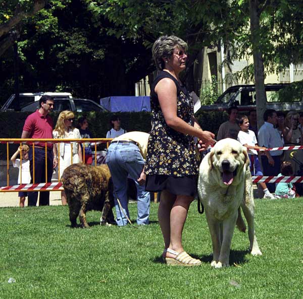 Especial Razas Españolas, El Escorial, Madrid, 19.07.1998 
Keywords: 1998