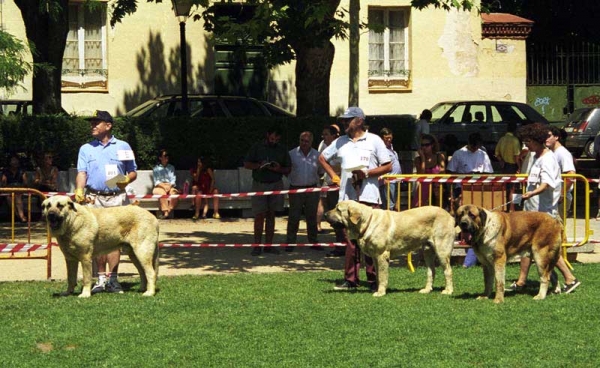 Especial Razas Españolas, El Escorial, Madrid, 19.07.1998  
Keywords: 1998