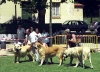 Filename=fuente-cantabria-plus.jpg
Filesize=52KiB
Dimensions=600x437
Date added=%673 %24, %2013 fuente-cantabria-plus.jpg
