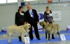 Filename=celje-lois+jenny.jpg
Filesize=70KiB
Dimensions=948x600
Date added=%808 %08, %2010 celje-lois+jenny.jpg