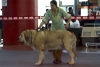 Filename=int1022.jpg
Filesize=71KiB
Dimensions=800x542
Date added=%596 %20, %2009 int1022.jpg