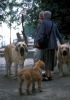 Filename=montesdelpardo6-sally.jpg
Filesize=65KiB
Dimensions=702x1000
Date added=%782 %30, %2010 montesdelpardo6-sally.jpg