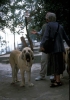 Filename=montesdelpardo7-sally.jpg
Filesize=64KiB
Dimensions=705x1000
Date added=%782 %30, %2010 montesdelpardo7-sally.jpg