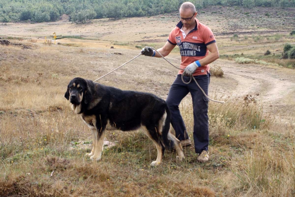 La Majada los Robles 13.09.2014
Keywords: majada