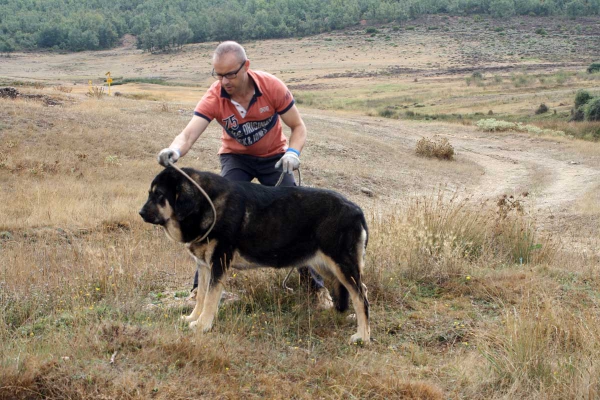 La Majada los Robles 13.09.2014
Keywords: majada