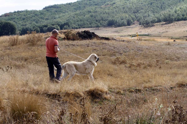 La Majada los Robles 13.09.2014
Keywords: majada