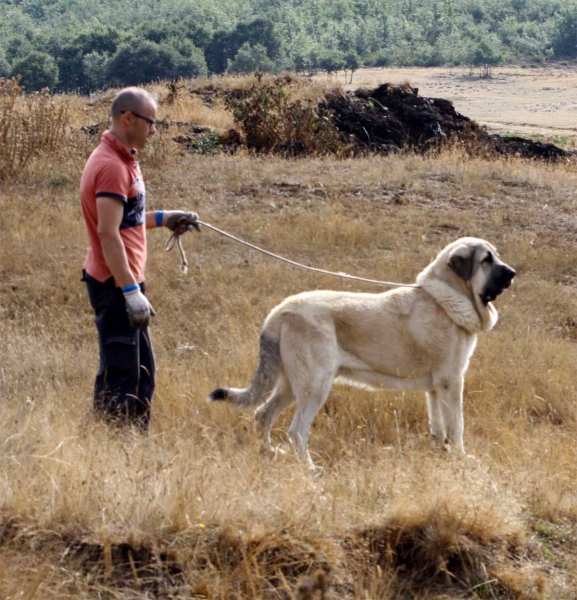 La Majada los Robles 13.09.2014
Keywords: majada