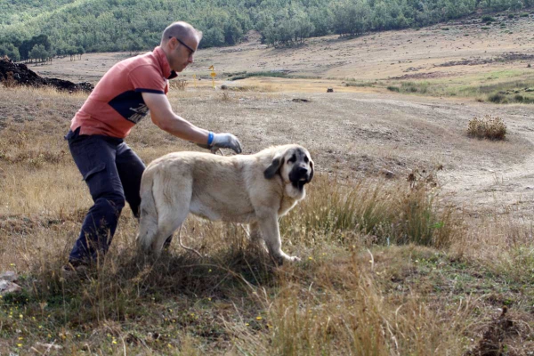 La Majada los Robles 13.09.2014
Keywords: majada