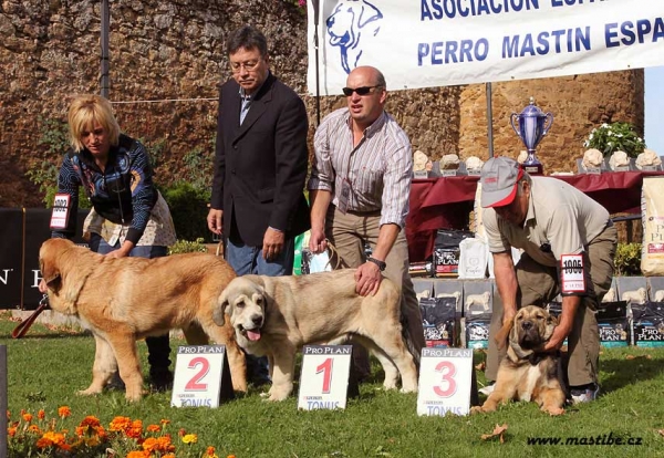 Ring Young Puppies Males - XXX Monográfica AEPME, Valencia de Don Juan 11.09.2010
Keywords: 2010