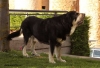 Filename=spain10,monografica,.jpg
Filesize=68KiB
Dimensions=866x591
Date added=%672 %25, %2010 spain10,monografica,.jpg