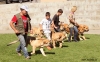 Filename=spain,monografica-group.jpg
Filesize=95KiB
Dimensions=950x591
Date added=%809 %25, %2010 spain,monografica-group.jpg