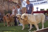 Filename=spain10,monografica-pair.jpg
Filesize=84KiB
Dimensions=877x591
Date added=%809 %25, %2010 spain10,monografica-pair.jpg