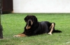 Filename=IMG3567.jpg
Filesize=93KiB
Dimensions=1200x773
Date added=%782 %13, %2011 IMG3567.jpg