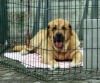Filename=IMG3569.jpg
Filesize=112KiB
Dimensions=1200x1004
Date added=%782 %13, %2011 IMG3569.jpg