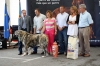 Filename=IMG3892.jpg
Filesize=118KiB
Dimensions=1200x800
Date added=%782 %13, %2011 IMG3892.jpg