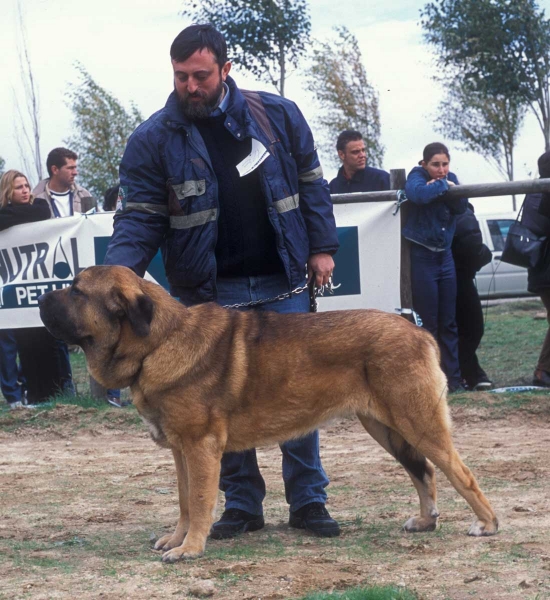  Monográfica AEPME, Colmenar Viejo, Madrid 20.10.2001
Keywords: 2001