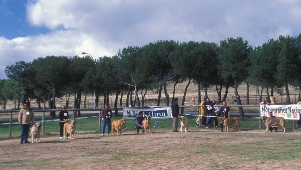 Monográfica AEPME, Colmenar Viejo, Madrid 20.10.2001
الكلمات الإستدلالية(لتسهيل البحث): 2001