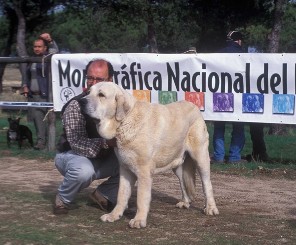 Cañon de Fuente Mimbre - Monográfica AEPME, Colmenar Viejo, Madrid 20.10.2001
Ulises de Ablanera X Senda de Trashumancia
Born: 10.07.2000 
Keywords: 2001 fuentemimbre