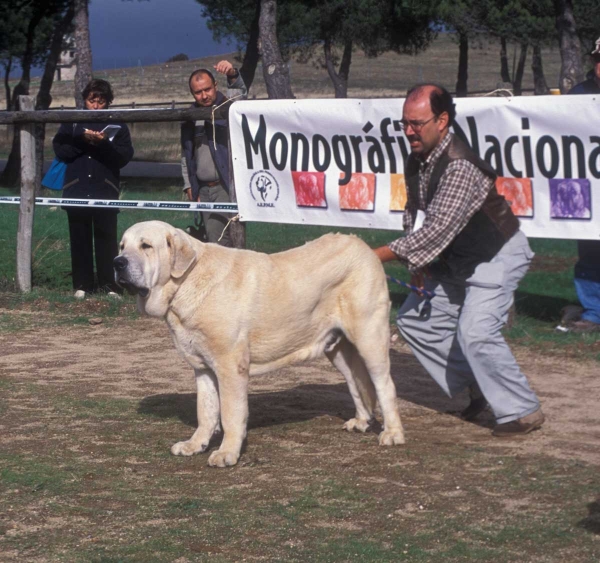 Cañon de Fuente Mimbre -  Monográfica AEPME, Colmenar Viejo, Madrid 20.10.2001
Ulises de Ablanera X Senda de Trashumancia
Born; 10.07.2000 
Keywords: 2001 fuentemimbre