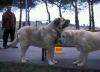 Filename=Image10bb-ulises.jpg
Filesize=73KiB
Dimensions=1200x868
Date added=%871 %24, %2012 Image10bb-ulises.jpg
