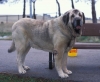 Filename=Image12bb-ulises.jpg
Filesize=70KiB
Dimensions=1200x989
Date added=%871 %24, %2012 Image12bb-ulises.jpg