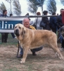Filename=Image14.jpg
Filesize=136KiB
Dimensions=1098x1200
Date added=%871 %24, %2012 Image14.jpg