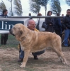 Filename=Image15.jpg
Filesize=128KiB
Dimensions=1191x1200
Date added=%871 %24, %2012 Image15.jpg