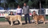 Filename=Image15aa.jpg
Filesize=105KiB
Dimensions=1200x718
Date added=%871 %24, %2012 Image15aa.jpg
