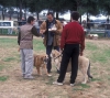 Filename=Image15aaa.jpg
Filesize=132KiB
Dimensions=1200x1068
Date added=%871 %24, %2012 Image15aaa.jpg