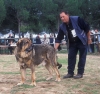 Filename=Image15bb-sultan.jpg
Filesize=137KiB
Dimensions=1200x1133
Date added=%871 %24, %2012 Image15bb-sultan.jpg